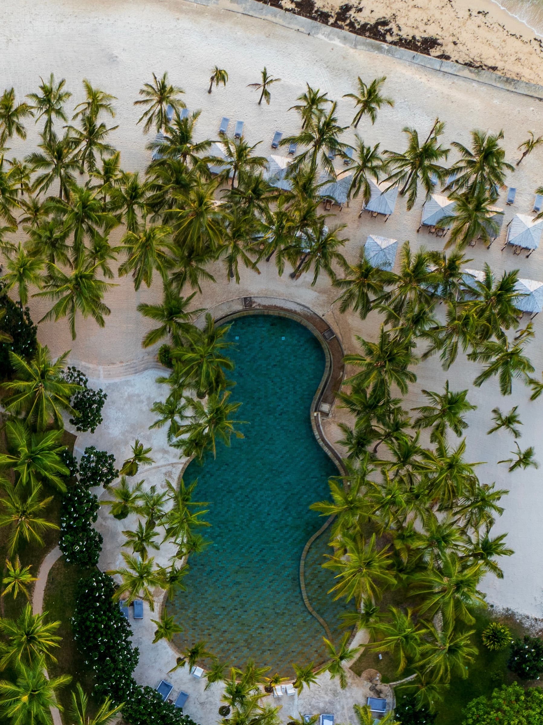 Billionaire Resort pool from above